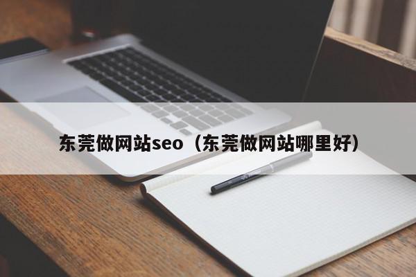 東莞做網(wǎng)站seo（東莞做網(wǎng)站哪里好）