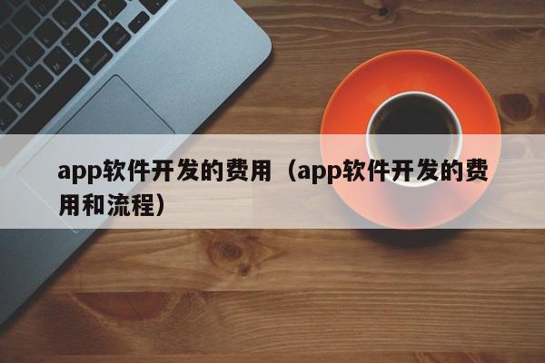 app軟件開發(fā)的費(fèi)用（app軟件開發(fā)的費(fèi)用和流程）