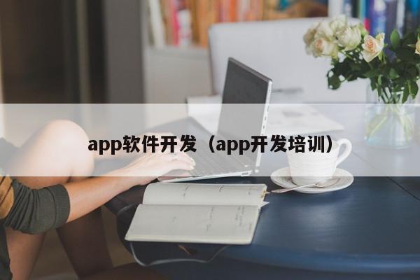 app軟件開發(fā)（app開發(fā)培訓(xùn)）