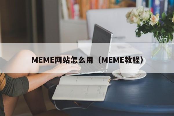 MEME網(wǎng)站怎么用（MEME教程）